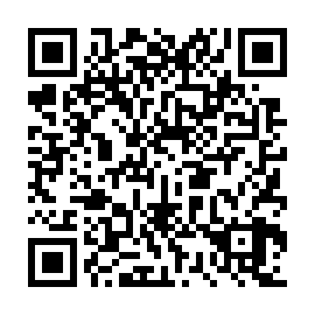 QR code for DS 4728