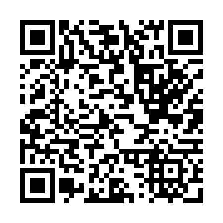 QR code for DS 6163