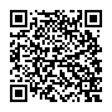QR code for DS 6369