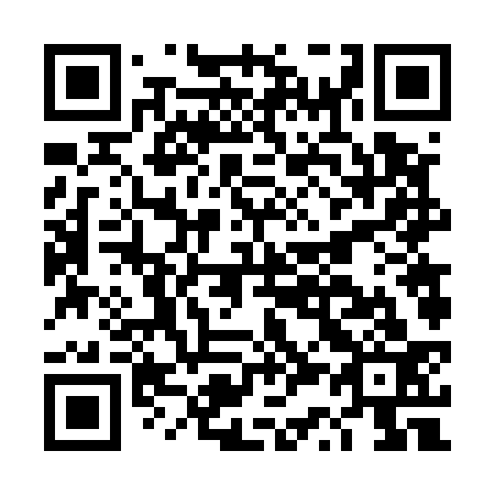 QR code for DS 6533