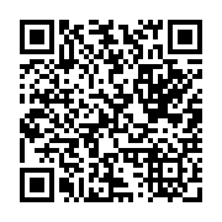 QR code for DS 7729