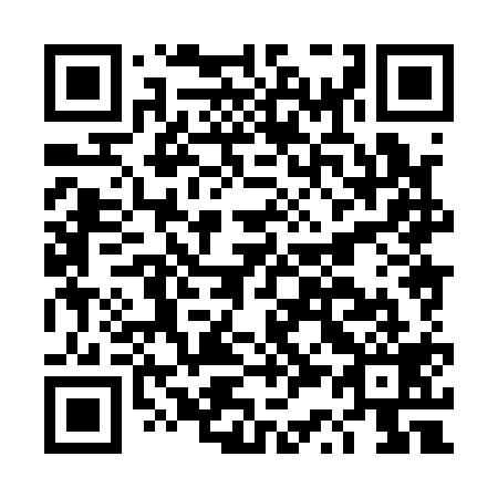 QR code for DS 8119