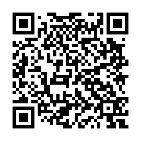 QR code for DS 9033