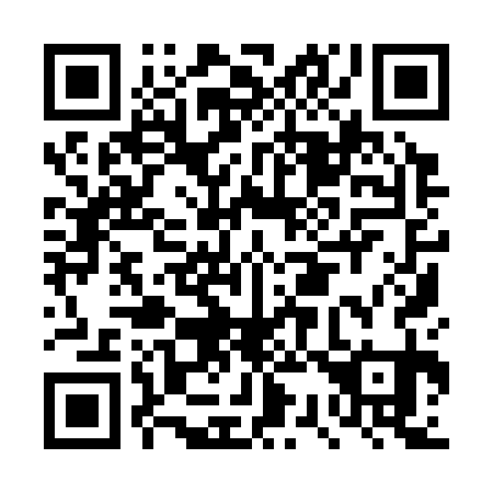 QR code for DS 9331