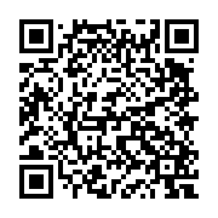 QR code for DS 9441