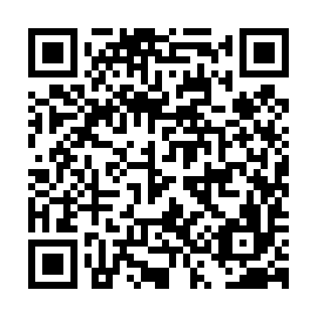 QR code for DS 9496