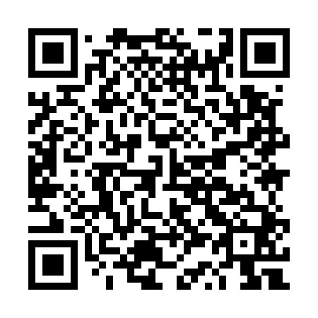 QR code for DS 9540