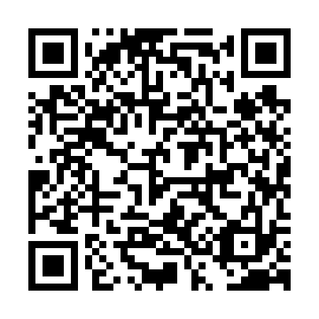 QR code for DS 9633