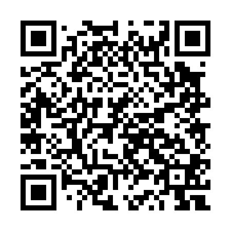 QR code for plate DS 0000