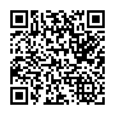 QR code for DS0335