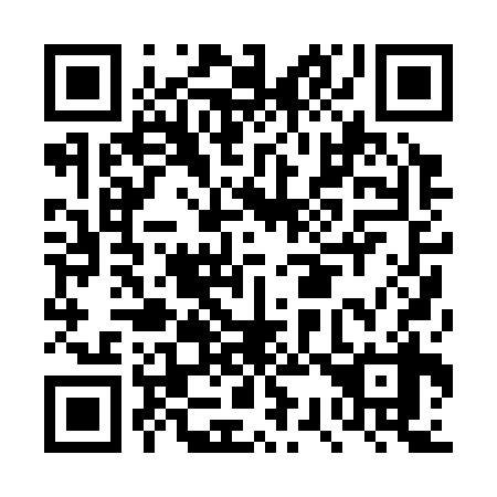 QR code for DS0338