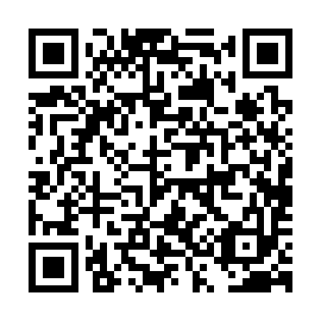 QR code for DS0393