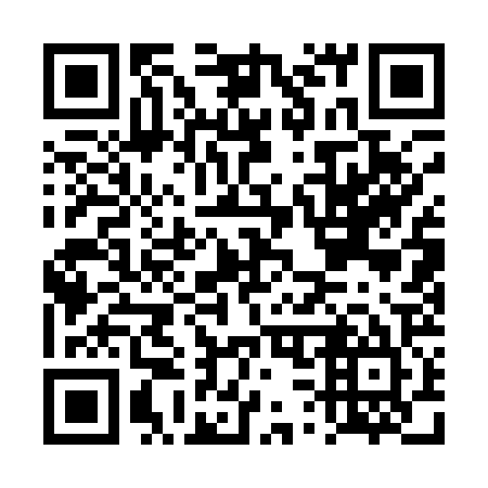 QR code for DS1125