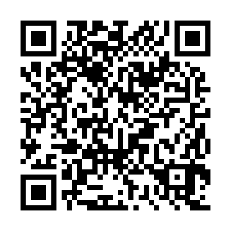 QR code for plate DS 2982