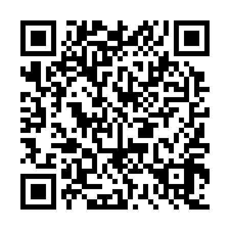 QR code for DS4318