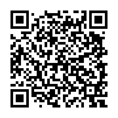 QR code for plate DS 4490
