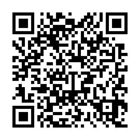 QR code for plate DS 4733