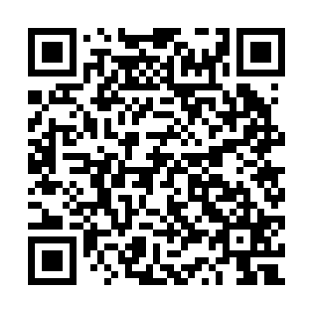 QR code for DS7225