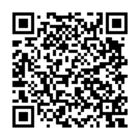 QR code for plate DS 9411