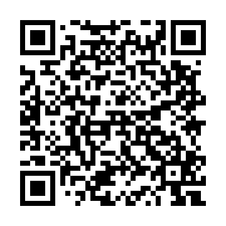 QR code for plate DS 9505