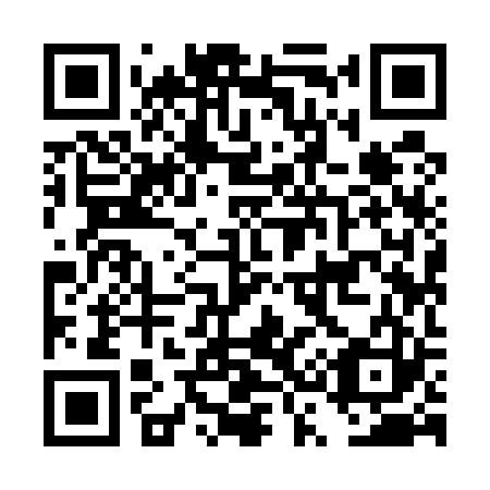 QR code for plate DS 9523