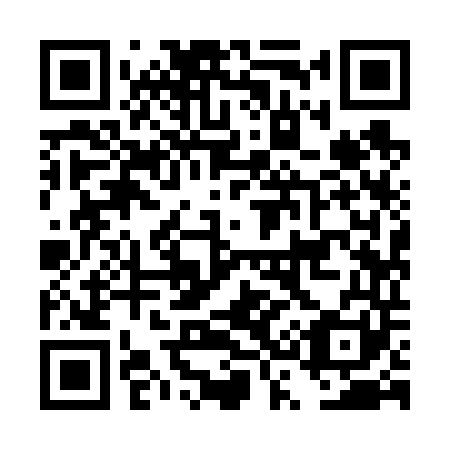QR code for DS9641