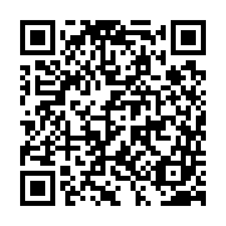 QR code for plate DS 9743