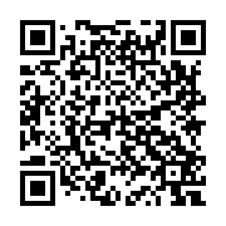 QR code for DS9903
