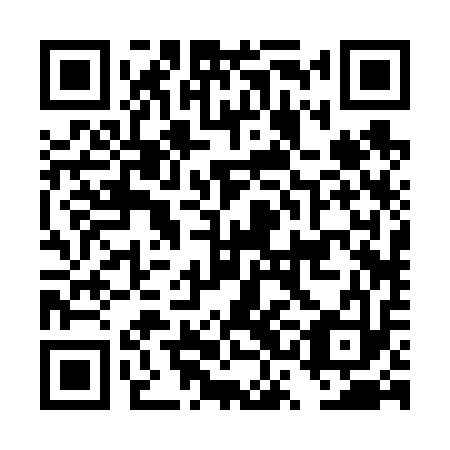 QR code for plate DSB 613