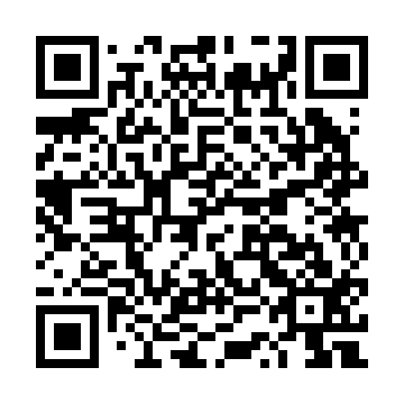 QR code for DSC 213