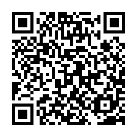 QR code for DSD 195