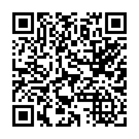 QR code for DSD 295