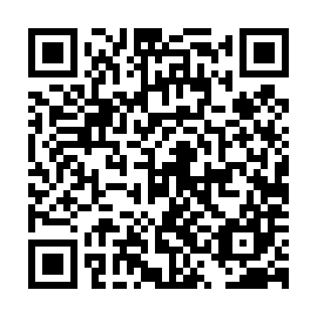 QR code for DSD487