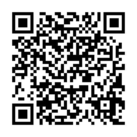 QR code for DSE 036
