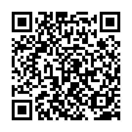 QR code for DSE 101