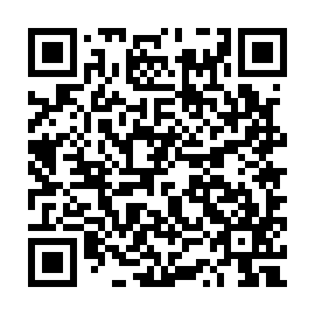 QR code for DSE 197
