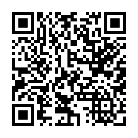 QR code for DSE 385