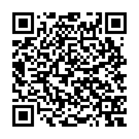 QR code for DSE334