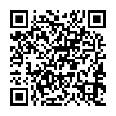 QR code for DSE951