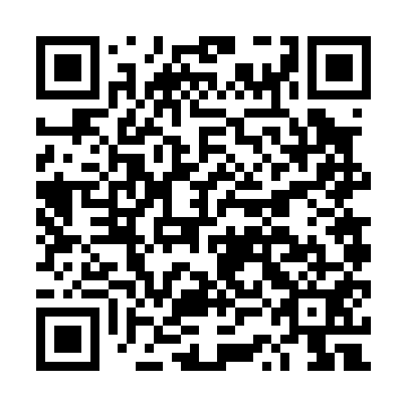 QR code for DSF 051