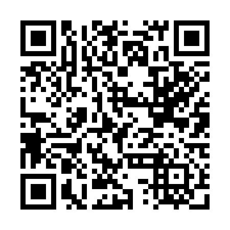 QR code for DSF 312