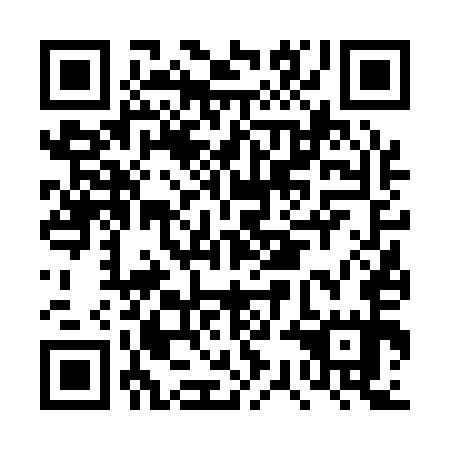 QR code for DSF155