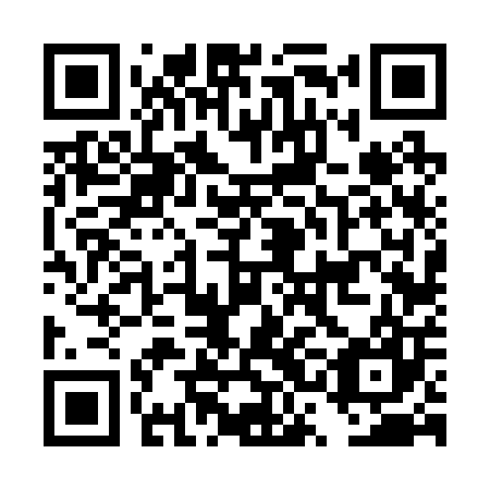 QR code for plate DSF 207