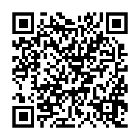 QR code for plate DSF 296