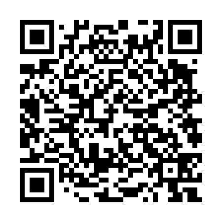 QR code for DSF439