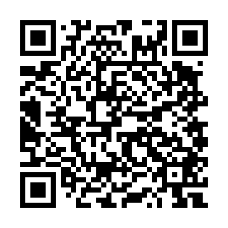 QR code for DSF448