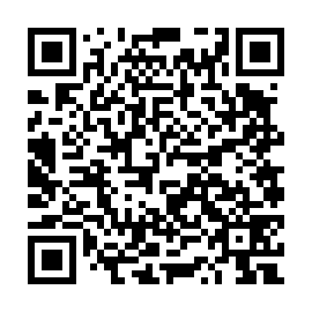 QR code for plate DSF 479