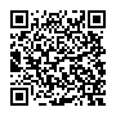 QR code for plate DSF 513