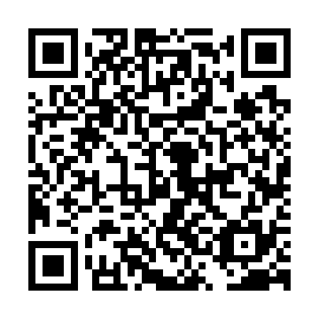 QR code for DSF735
