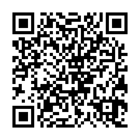QR code for DSG 127